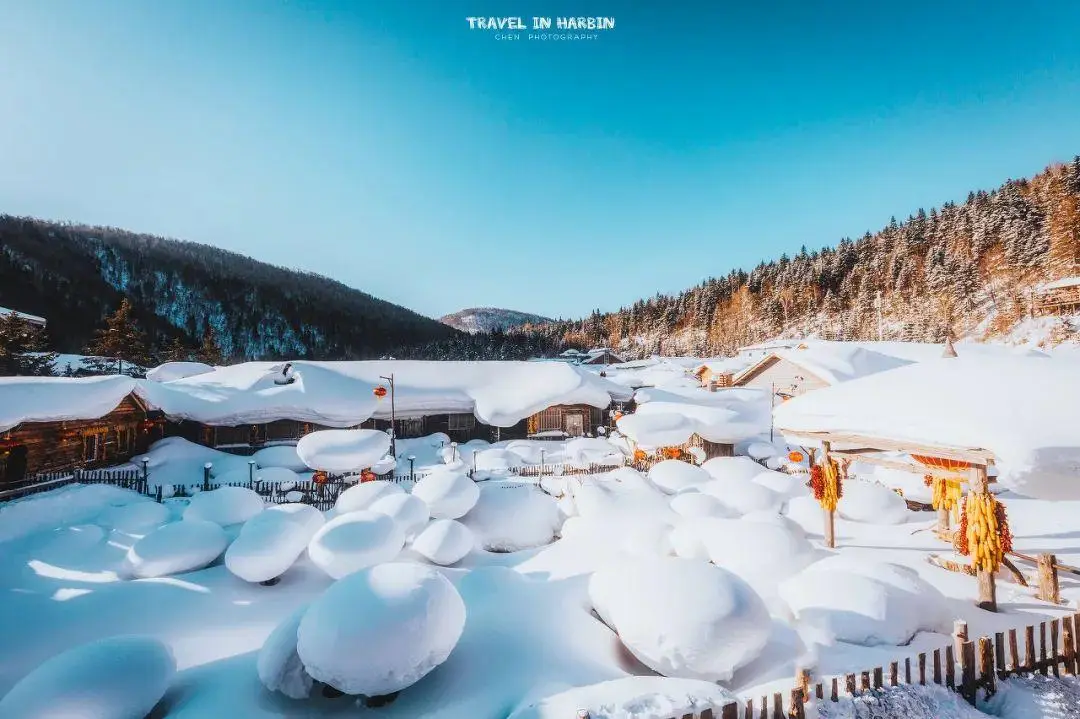 在深雪覆盖的世界中，感受孤独与静谧的交织