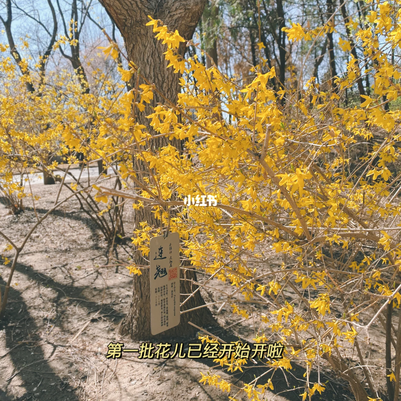 三月别称美名是什么_三月的别称及美名_三月别名