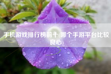 二手手机打游戏排行榜最新-二手手机上的游戏盛宴：王者荣耀、和
