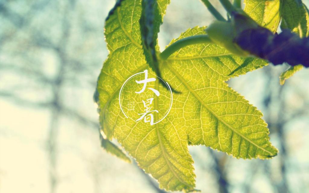 一年中最热的节气是哪个-大暑：一年中最热的节气，水果特别甜但