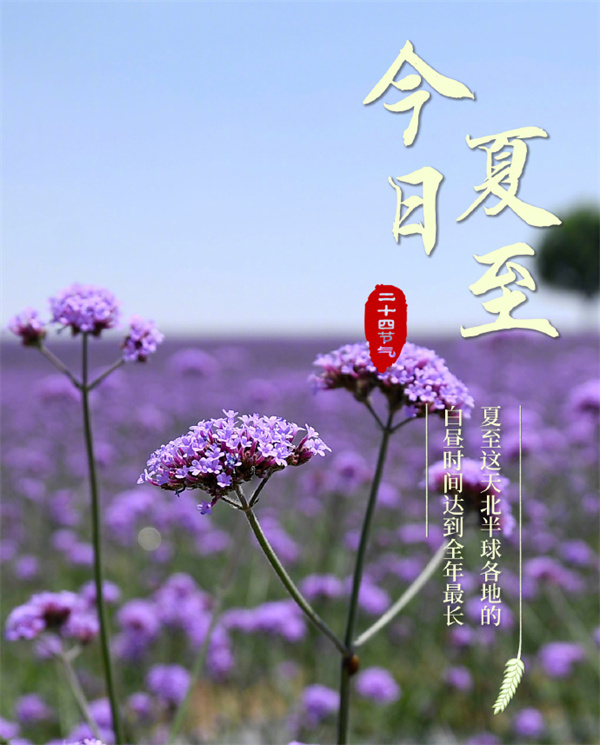 6月21日黄道吉日查询-6 月 21 日是黄道吉日吗？夏至日