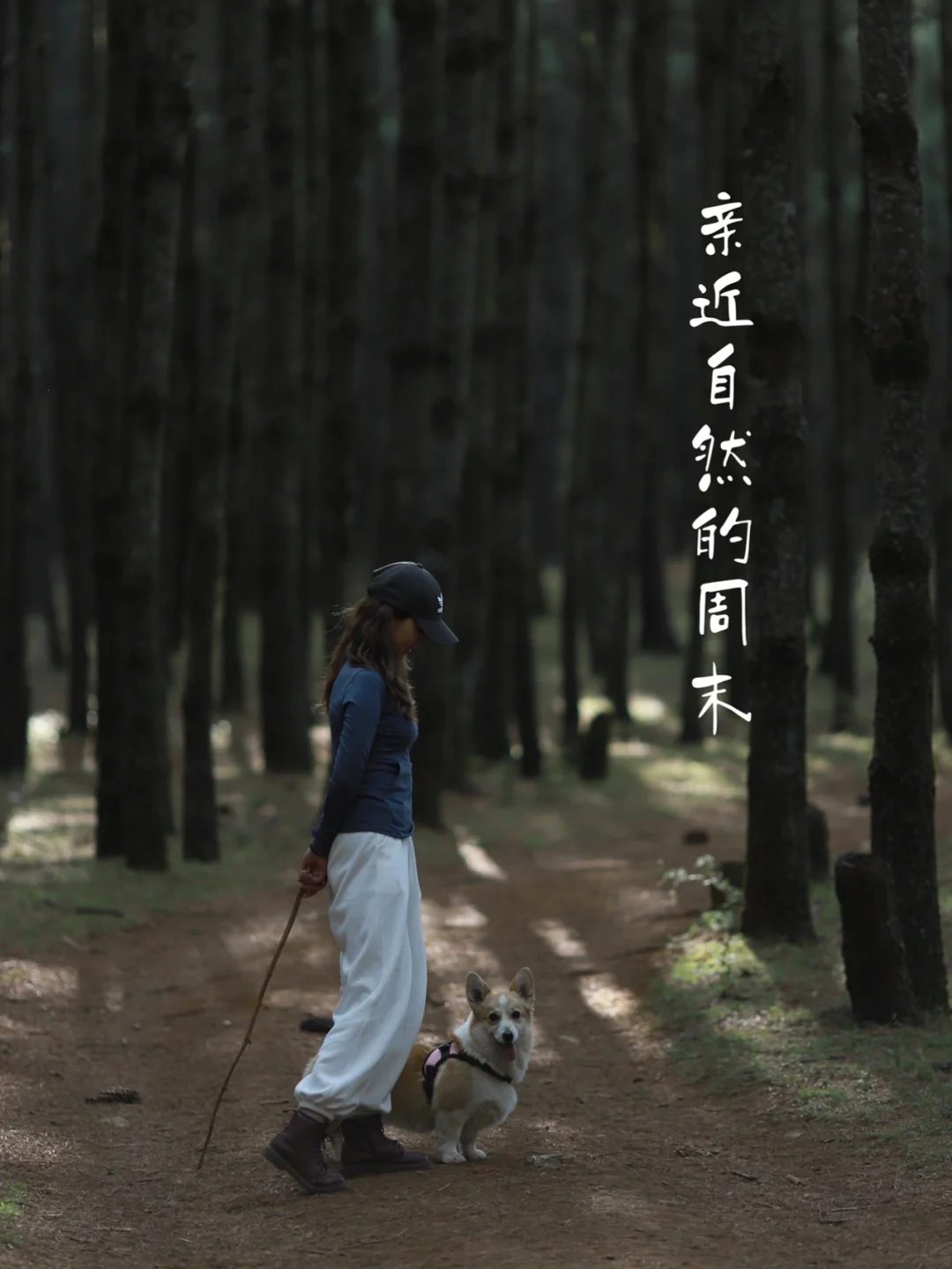 四月八_四月八_四月八