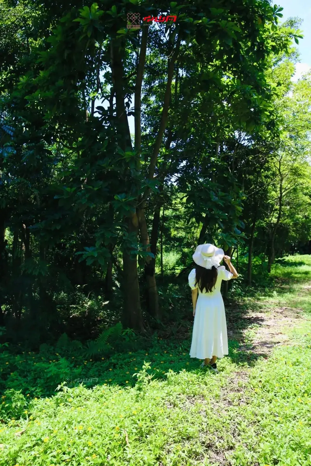 四月八_四月八_四月八