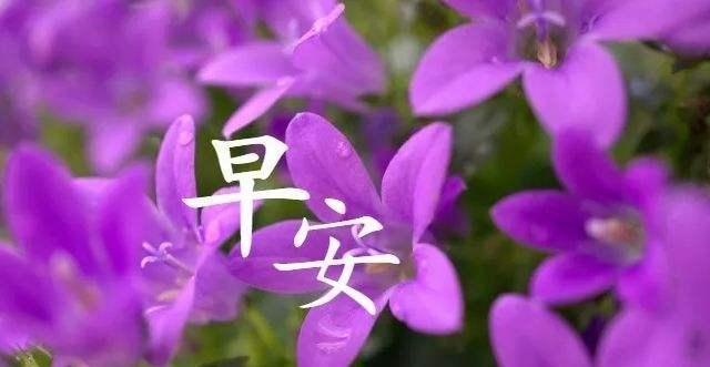 蛰读音_蛰怎么读_蛰
