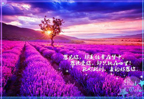 洛夫古德卢娜擅长的科目_卢娜洛夫古德_卢娜洛夫古德