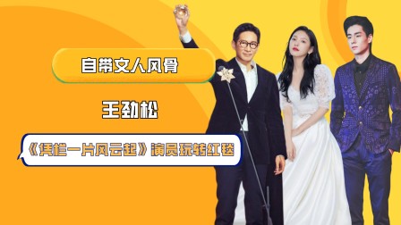 风云电视剧免费播放_凭栏一片风云起电视剧免费观看_风云电视剧在线播放