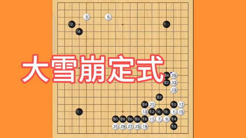 大雪崩定式