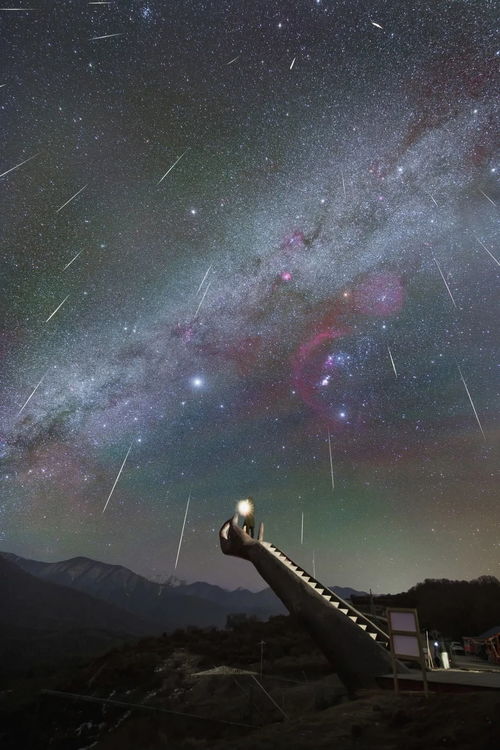 阴阳师千面摘星版本 