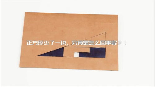 几何双正方形 