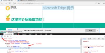 艾米直播官方版网站 