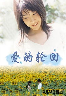 停不下来的轮回 